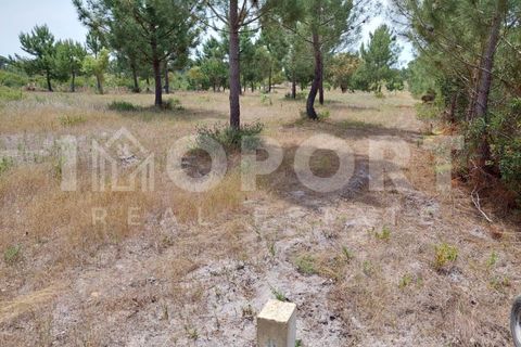 Grond in Santo Andre, Setubal, Santo Andre - € 625.000 | Ref: TER-49 - foto 14