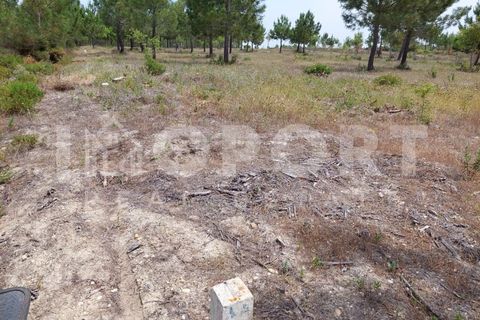 Grond in Santo Andre, Setubal, Santo Andre - € 625.000 | Ref: TER-49 - foto 15