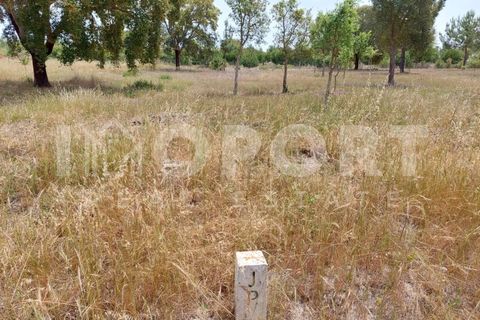 Grond in Santo Andre, Setubal, Santo Andre - € 625.000 | Ref: TER-49 - foto 17