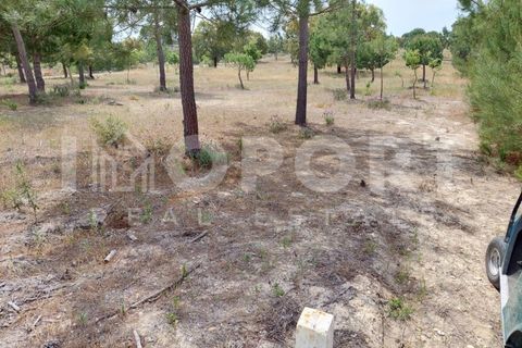 Grond in Santo Andre, Setubal, Santo Andre - € 625.000 | Ref: TER-49 - foto 18