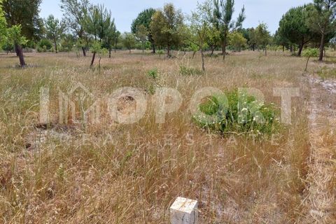 Grond in Santo Andre, Setubal, Santo Andre - € 625.000 | Ref: TER-49 - foto 19