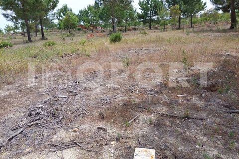 Grond in Santo Andre, Setubal, Santo Andre - € 625.000 | Ref: TER-49 - foto 20