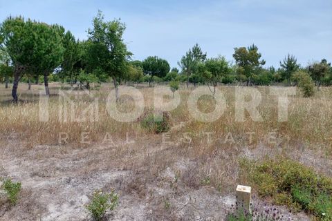 Grond in Santo Andre, Setubal, Santo Andre - € 625.000 | Ref: TER-49 - foto 21