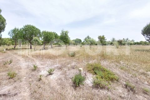 Grond in Santo Andre, Setubal, Santo Andre - € 625.000 | Ref: TER-49 - foto 22
