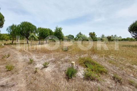 Grond in Santo Andre, Setubal, Santo Andre - € 625.000 | Ref: TER-49 - foto 23