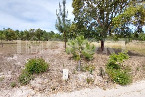 Grond in Santo Andre, Setubal, Santo Andre - € 625.000 | Ref: TER-49 - foto 24