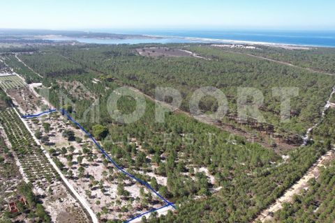 Grond in Santo Andre, Setubal, Santo Andre - € 625.000 | Ref: TER-49 - foto 25