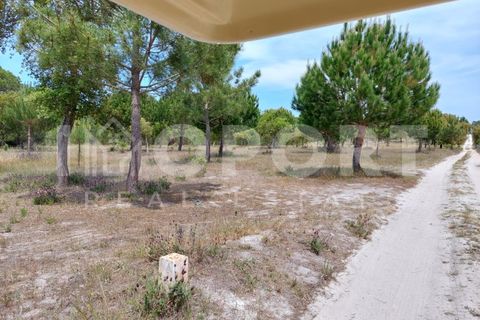 Grond in Santo Andre, Setubal, Santo Andre - € 625.000 | Ref: TER-49 - foto 26