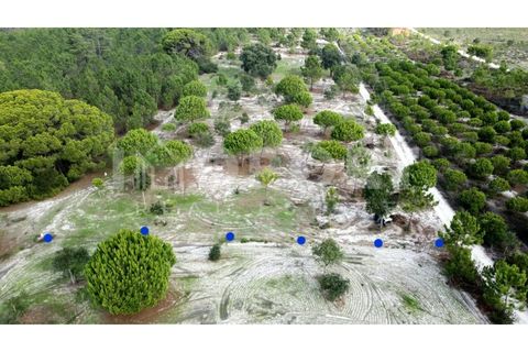 Grond in Santo Andre, Setubal, Santo Andre - € 625.000 | Ref: TER-49 - foto 27