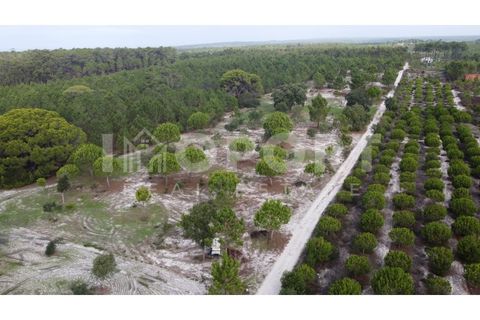 Grond in Santo Andre, Setubal, Santo Andre - € 625.000 | Ref: TER-49 - foto 28