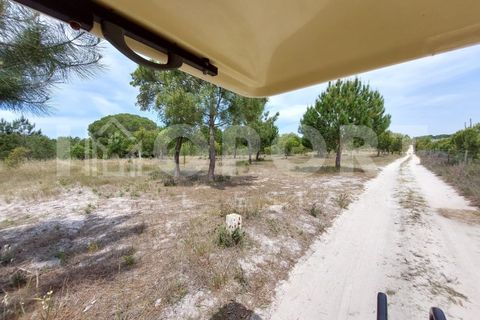 Grond in Santo Andre, Setubal, Santo Andre - € 625.000 | Ref: TER-49 - foto 29