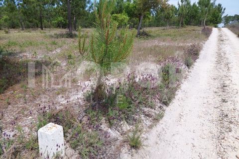 Grond in Santo Andre, Setubal, Santo Andre - € 625.000 | Ref: TER-49 - foto 30