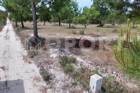Grond in Santo Andre, Setubal, Santo Andre - € 625.000 | Ref: TER-49 - foto 31