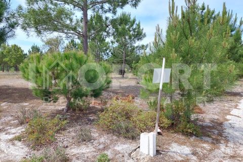 Grond in Santo Andre, Setubal, Santo Andre - € 625.000 | Ref: TER-49 - foto 32