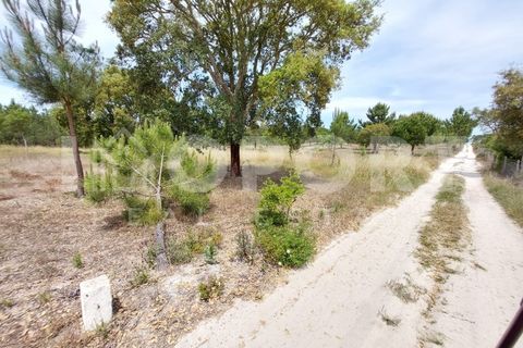 Grond in Santo Andre, Setubal, Santo Andre - € 625.000 | Ref: TER-49 - foto 34