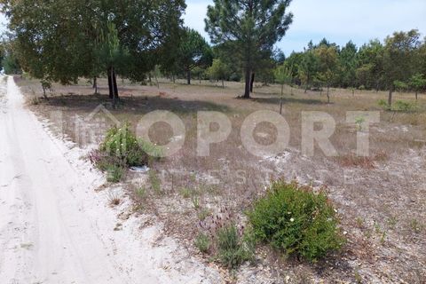 Grond in Santo Andre, Setubal, Santo Andre - € 625.000 | Ref: TER-49 - foto 36