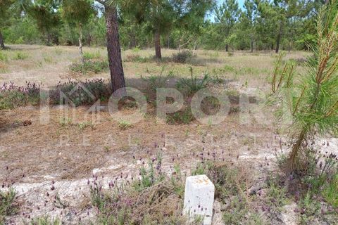 Grond in Santo Andre, Setubal, Santo Andre - € 625.000 | Ref: TER-49 - foto 38