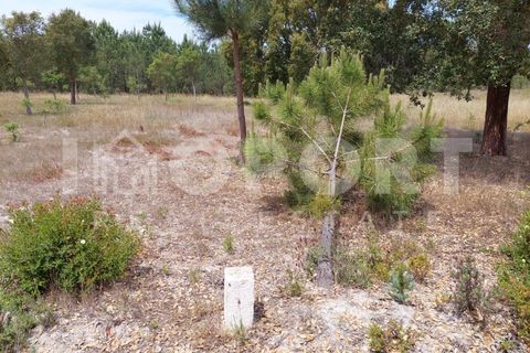 Grond in Santo Andre, Setubal, Santo Andre - € 625.000 | Ref: TER-49 - foto 39