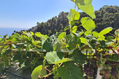 Villa i Ventimiglia, Imperia, Ventimiglia - € 1.800.000 | Ref: 5234 - foto 13