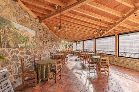 Villa a Apricale, Imperia, Apricale - € 750.000 | Ref: 5419 - foto 29