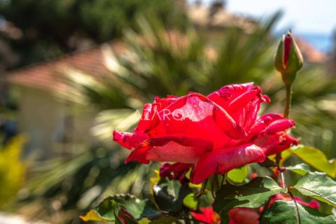 Villa a Alassio, Savona, Alassio - € 2.200.000 | Ref: 5491 - foto 28
