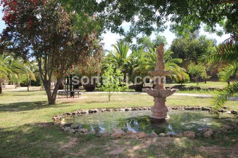 Villa i Lagoa, Faro, Lagoa - € 4.500.000 | Ref: Sort19982 - foto 8
