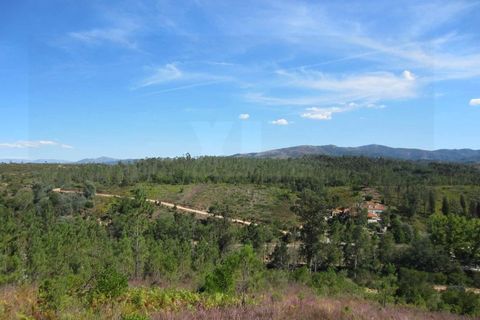 Helårsgrund i Arganil, Coimbra, Arganil - € 90.000 | Ref: 2365 - foto 3
