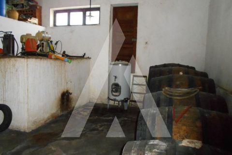 Villa a Alvaiazere, Leiria, Alvaiazere - € 296.000 | Ref: 1130745/23 LR - foto 30