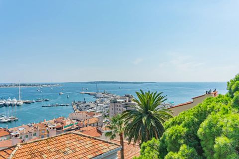 Villa a Cannes, Alpes-Maritimes, Cannes - € 8.500.000 | Ref: HH-14981545 - foto 18