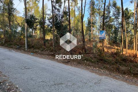 Helårsgrund i Barcelos, Braga, Barcelos - € 60.000 | Ref: RU01-4090 - foto 1