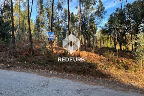 Helårsgrund i Barcelos, Braga, Barcelos - € 60.000 | Ref: RU01-4090 - foto 2