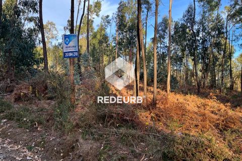 Helårsgrund i Barcelos, Braga, Barcelos - € 60.000 | Ref: RU01-4090 - foto 5