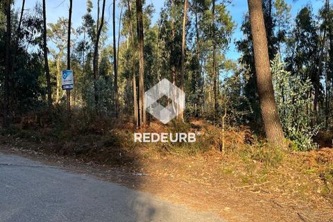Helårsgrund i Barcelos, Braga, Barcelos - € 60.000 | Ref: RU01-4090 - foto 6