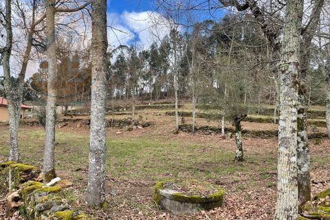 Helårsgrund i Cabeceiras de Basto, Braga, Cabeceiras de Basto - € 120.000 | Ref: 139-007 - foto 3