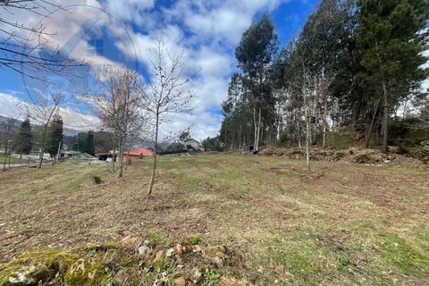 Helårsgrund i Cabeceiras de Basto, Braga, Cabeceiras de Basto - € 120.000 | Ref: 139-007 - foto 6