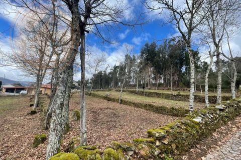 Helårsgrund i Cabeceiras de Basto, Braga, Cabeceiras de Basto - € 120.000 | Ref: 139-007 - foto 7
