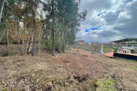 Helårsgrund i Cabeceiras de Basto, Braga, Cabeceiras de Basto - € 120.000 | Ref: 139-007 - foto 12