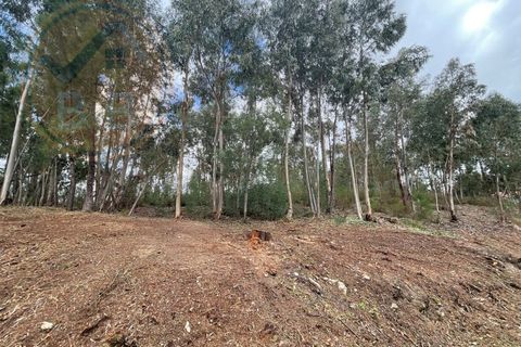 Helårsgrund i Cabeceiras de Basto, Braga, Cabeceiras de Basto - € 120.000 | Ref: 139-007 - foto 13