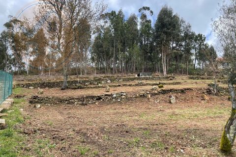 Helårsgrund i Cabeceiras de Basto, Braga, Cabeceiras de Basto - € 120.000 | Ref: 139-007 - foto 20