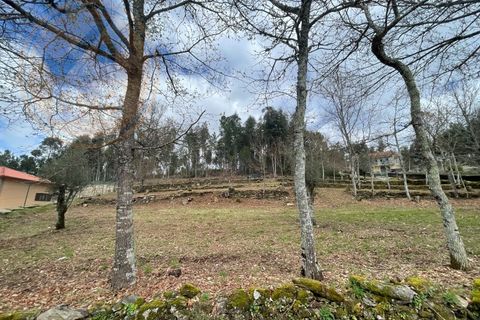 Helårsgrund i Cabeceiras de Basto, Braga, Cabeceiras de Basto - € 120.000 | Ref: 139-007 - foto 21
