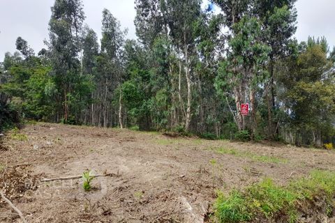 Helårsgrund i Barcelos, Braga, Barcelos - € 57.000 | Ref: 48/21 - foto 2