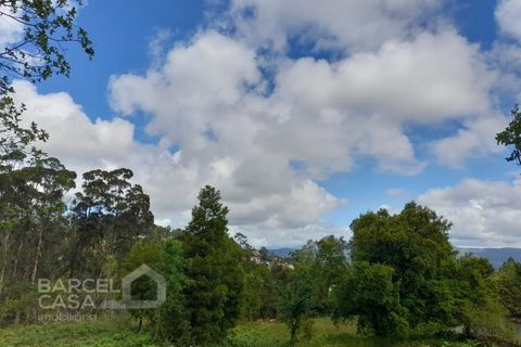 Helårsgrund i Barcelos, Braga, Barcelos - € 57.000 | Ref: 48/21 - foto 5
