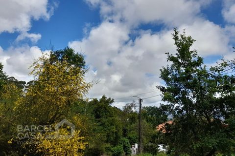 Helårsgrund i Barcelos, Braga, Barcelos - € 57.500 | Ref: 202/12 - foto 5