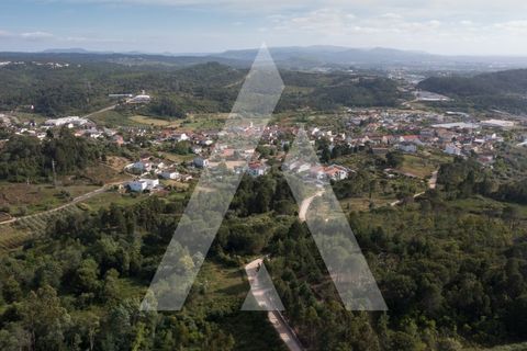 Tomt i Assafarge e Antanhol, Coimbra, Assafarge e Antanhol - € 150 000 | Ref: 1120981/23CB - foto 10