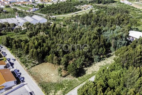 Tomt i Serzedo, Porto, Serzedo - € 449 000 | Ref: ZMPT557536 - foto 14