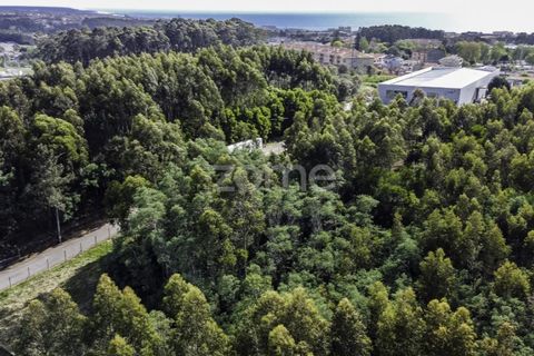 Tomt i Serzedo, Porto, Serzedo - € 449 000 | Ref: ZMPT557536 - foto 12