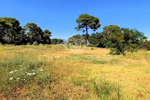 Terra a Le Cannet, Alpes-Maritimes, Le Cannet - € 410.000 | Ref: 485 - foto 2