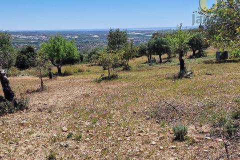 Helårsgrund i Estoi, Faro, Estoi - € 450.000 | Ref: TR13229 - foto 4