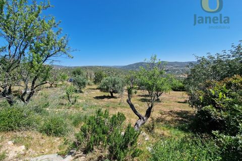 Helårsgrund i Estoi, Faro, Estoi - € 450.000 | Ref: TR13229 - foto 5