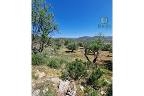 Helårsgrund i Estoi, Faro, Estoi - € 450.000 | Ref: TR13229 - foto 16